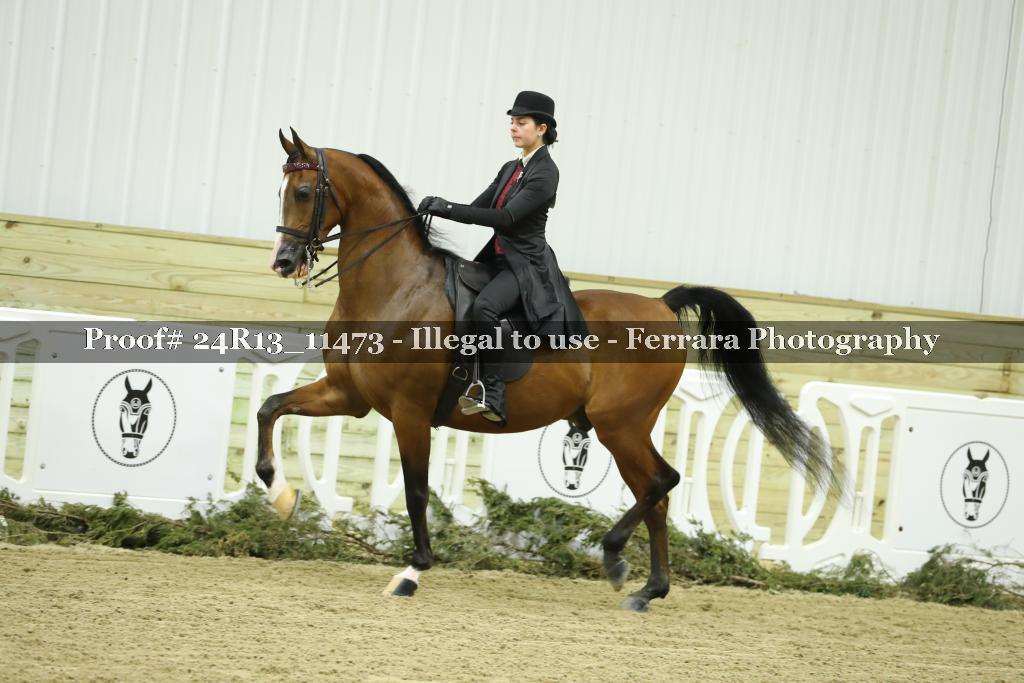 Proof 24R13_11473