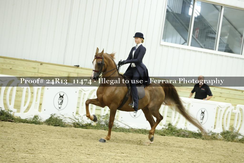 Proof 24R13_11474