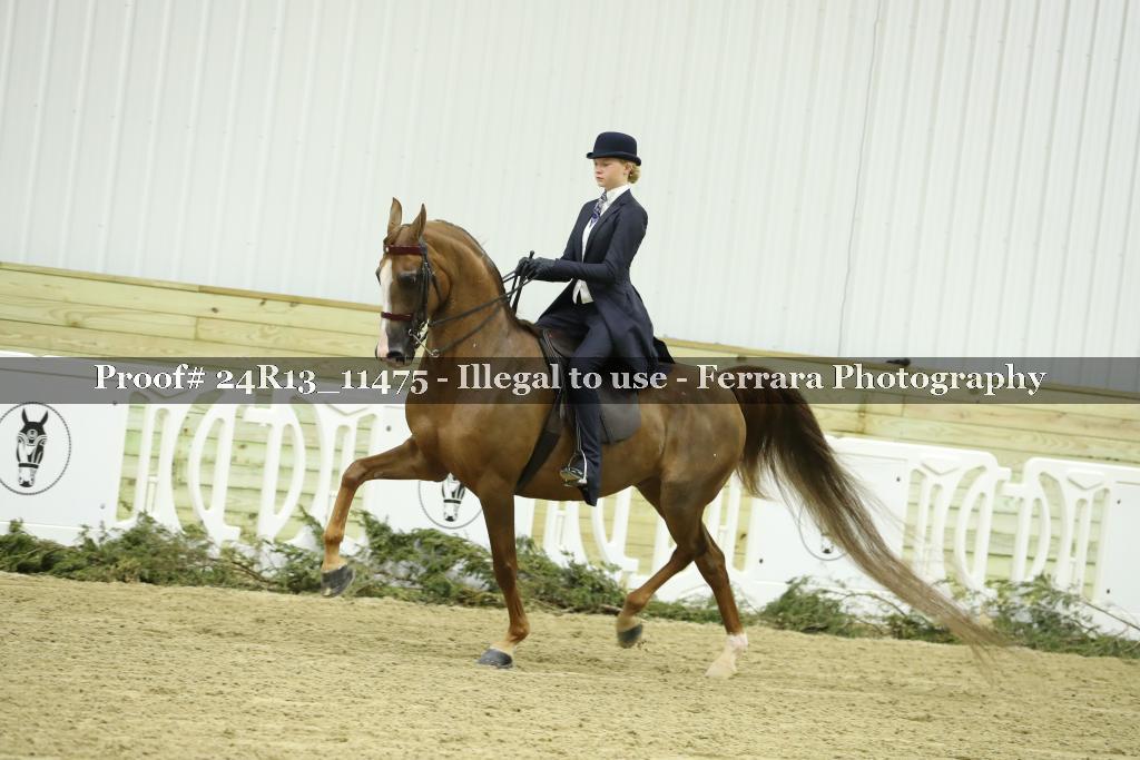 Proof 24R13_11475