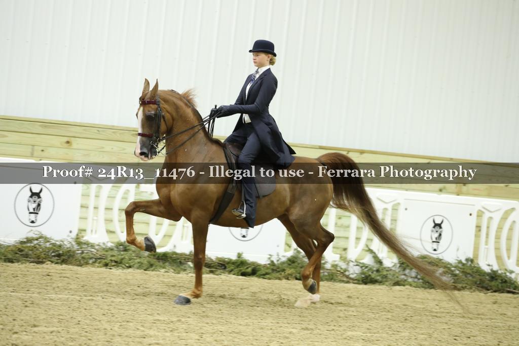 Proof 24R13_11476