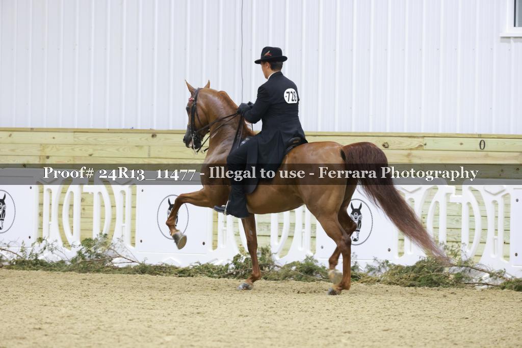 Proof 24R13_11477