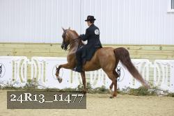 24R13_11477 proof