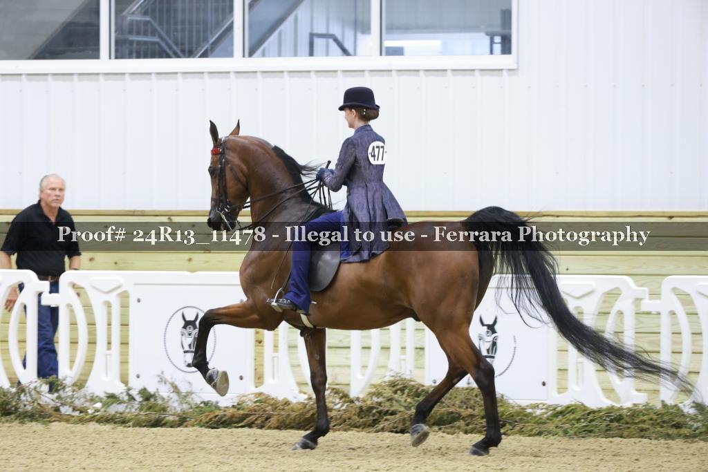 Proof 24R13_11478