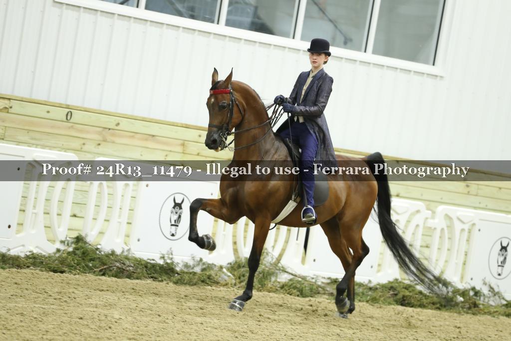 Proof 24R13_11479