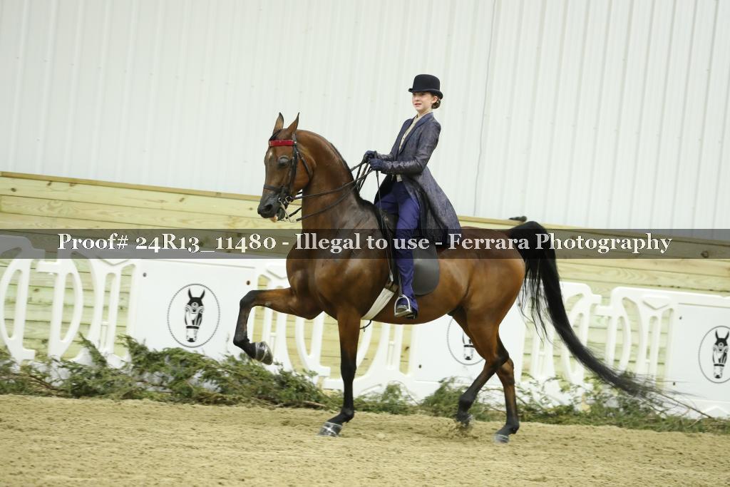 Proof 24R13_11480