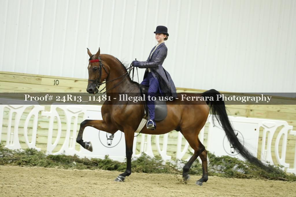 Proof 24R13_11481