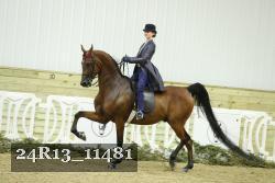 24R13_11481 proof