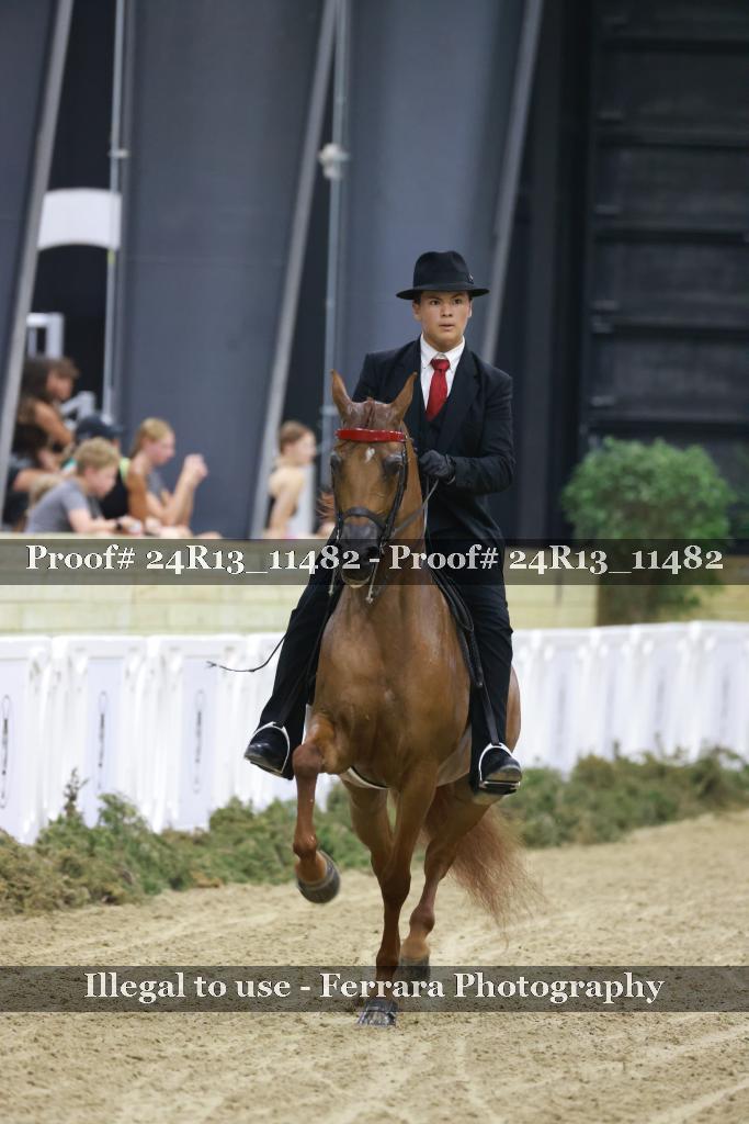 Proof 24R13_11482