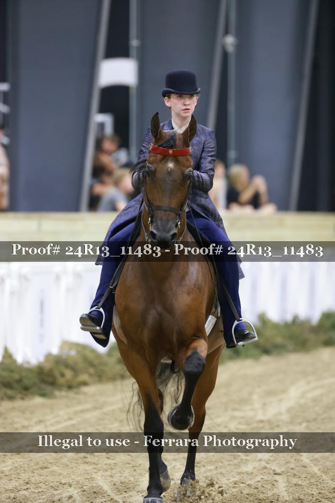 Proof 24R13_11483