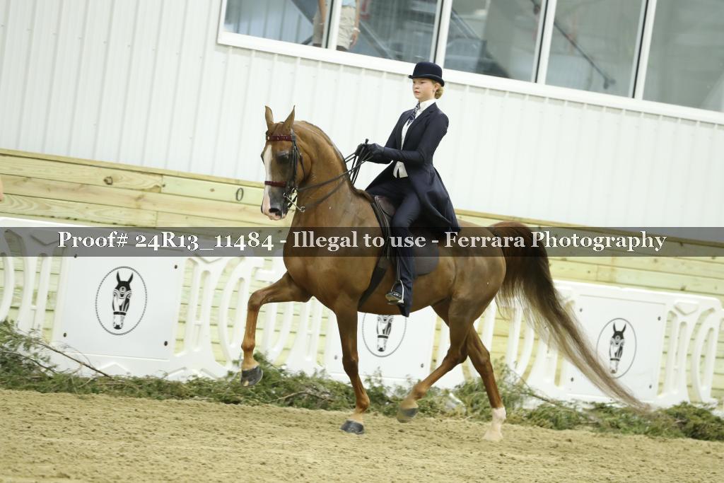 Proof 24R13_11484