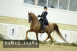24R13_11484 proof