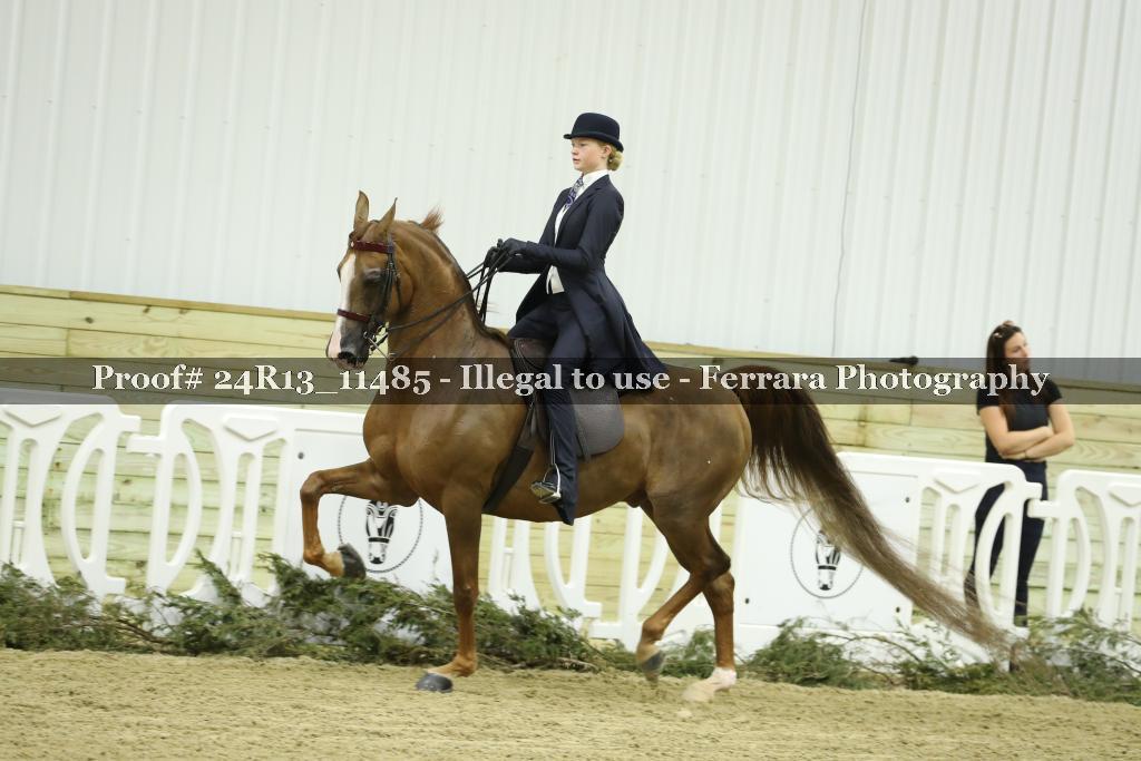 Proof 24R13_11485