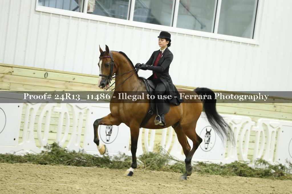 Proof 24R13_11486