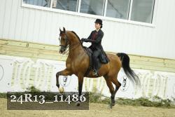 24R13_11486 proof