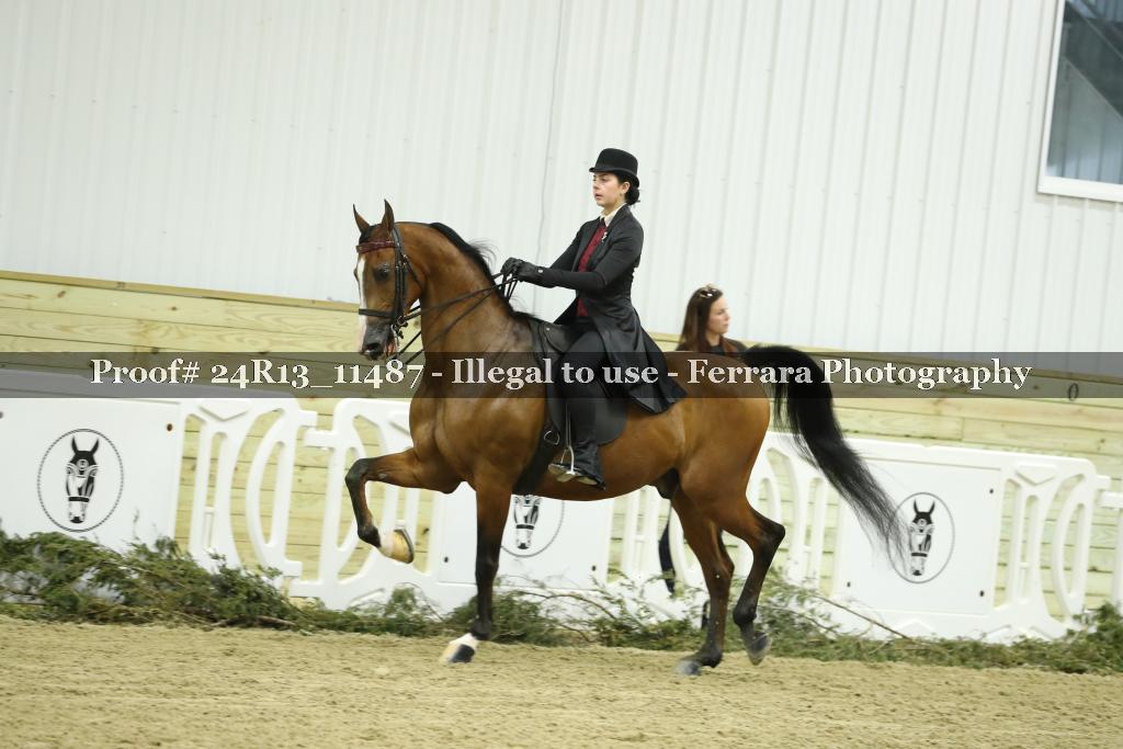 Proof 24R13_11487