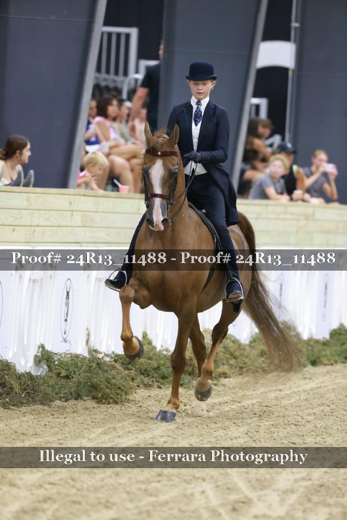 Proof 24R13_11488