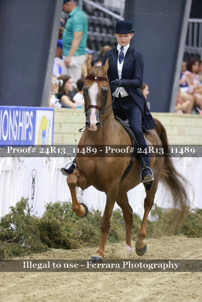 Proof 24R13_11489