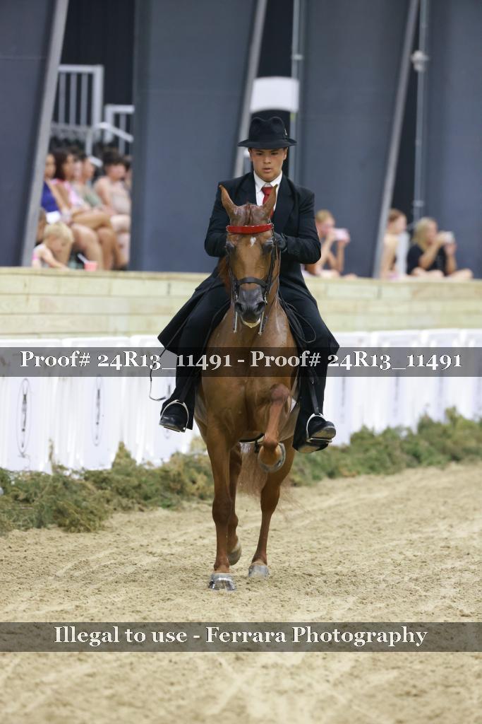 Proof 24R13_11491