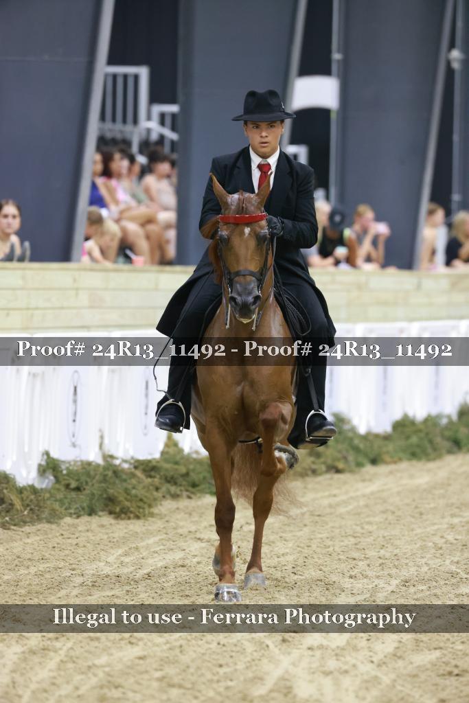 Proof 24R13_11492