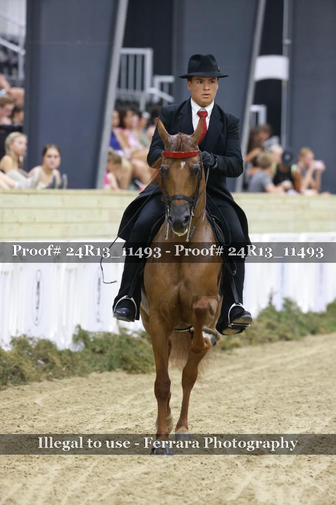 Proof 24R13_11493