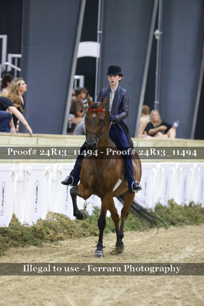 Proof 24R13_11494