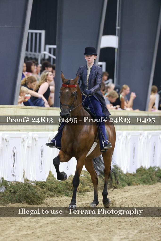 Proof 24R13_11495