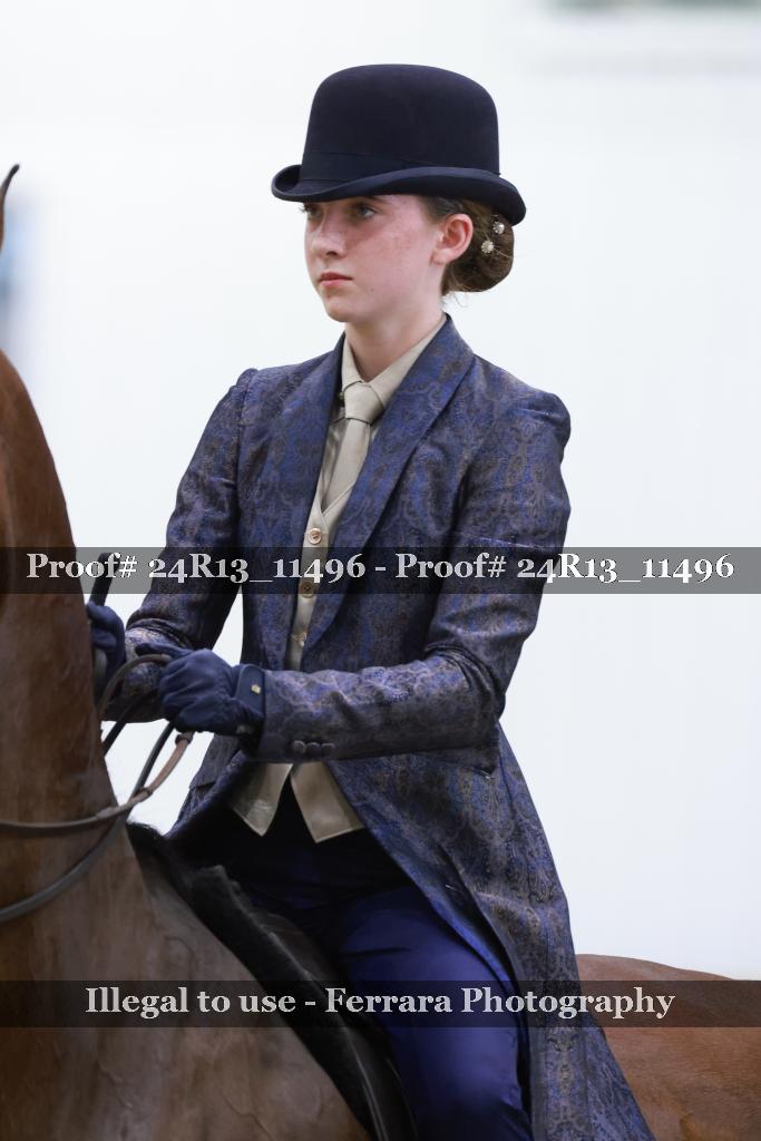 Proof 24R13_11496
