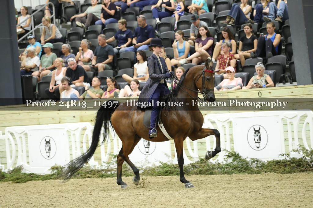 Proof 24R13_11497