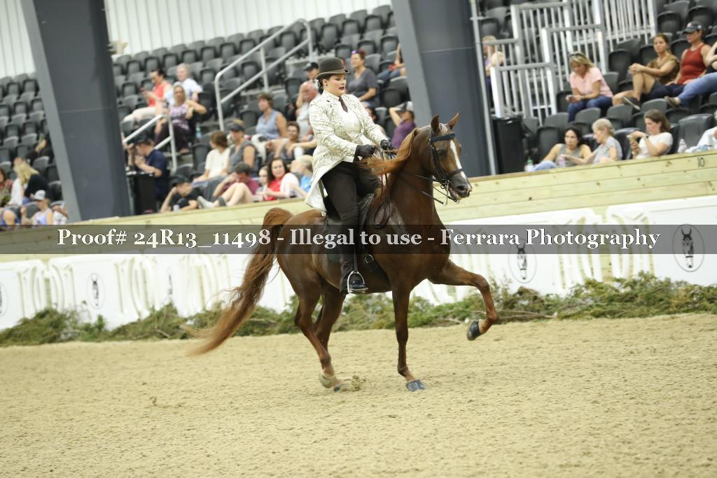 Proof 24R13_11498