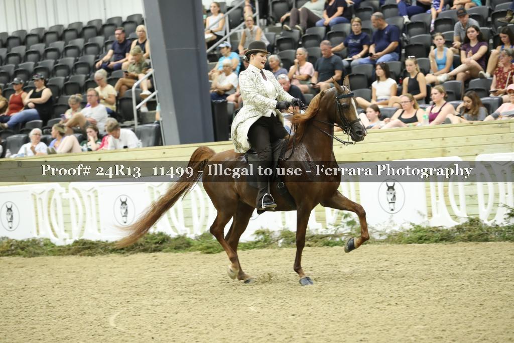Proof 24R13_11499