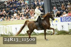 24R13_11500 proof