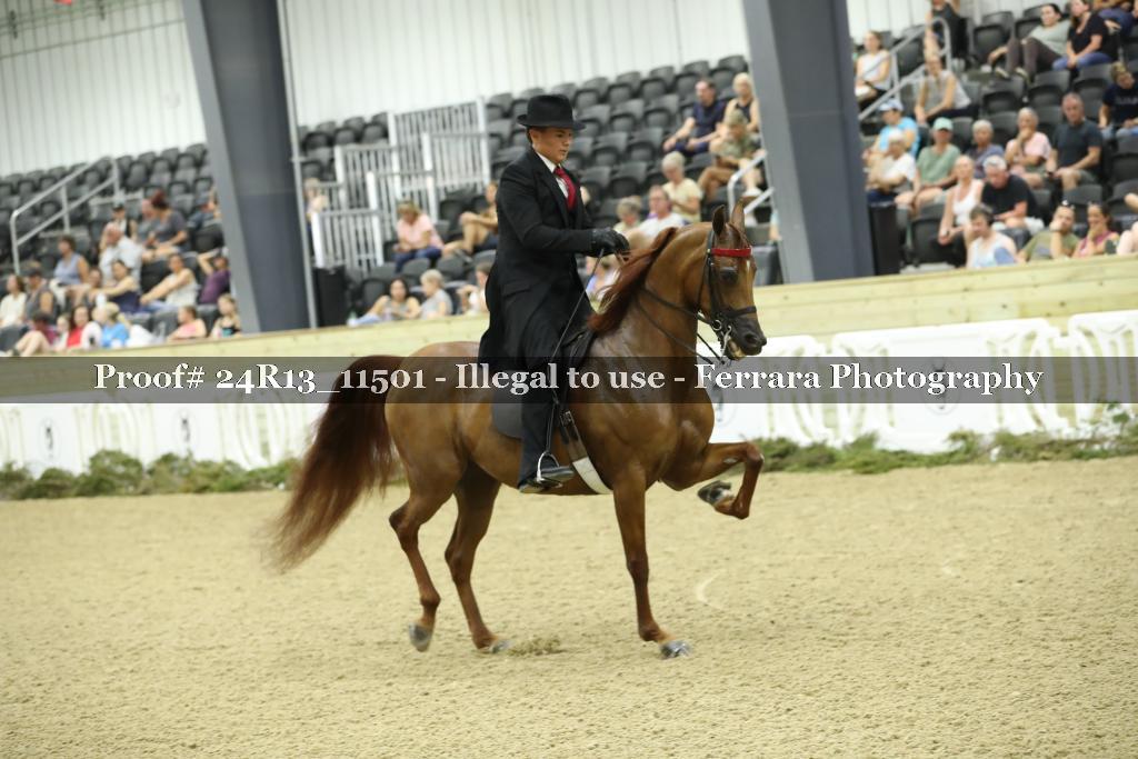 Proof 24R13_11501