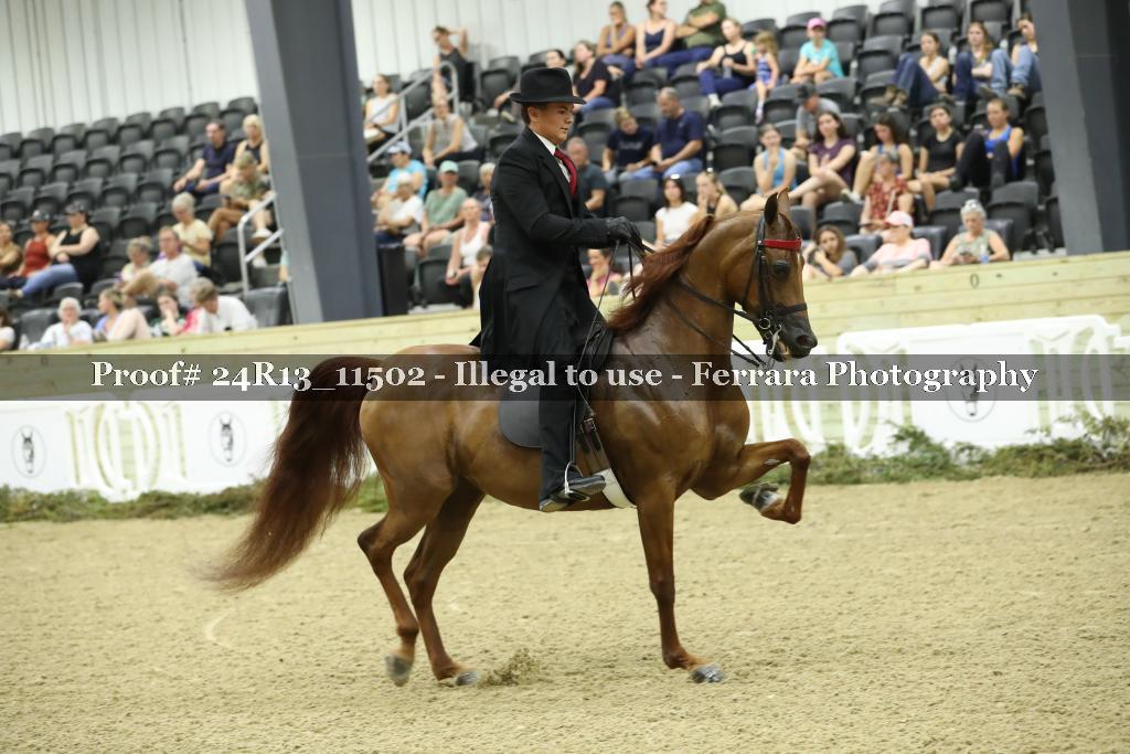Proof 24R13_11502