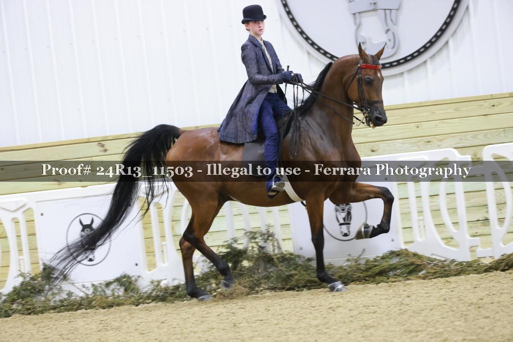 Proof 24R13_11503