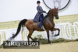 24R13_11503 proof