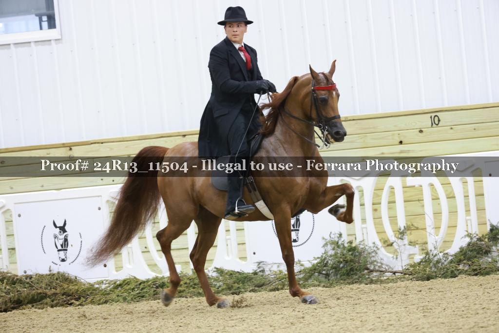 Proof 24R13_11504
