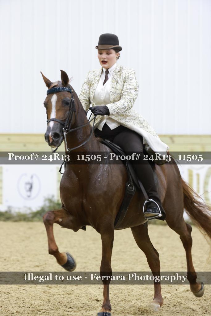 Proof 24R13_11505