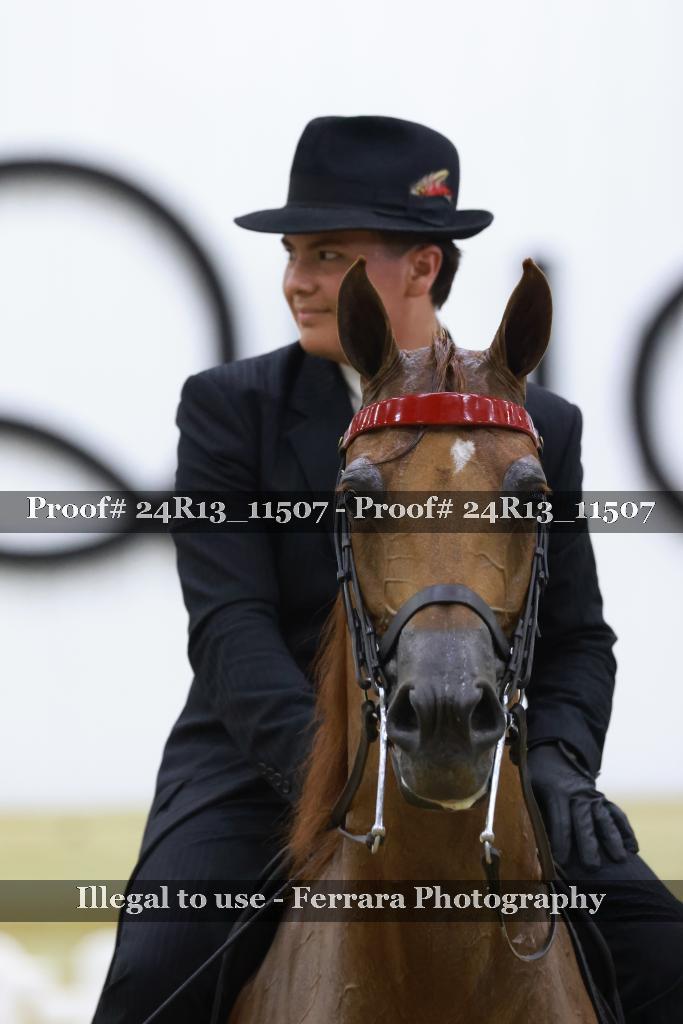 Proof 24R13_11507