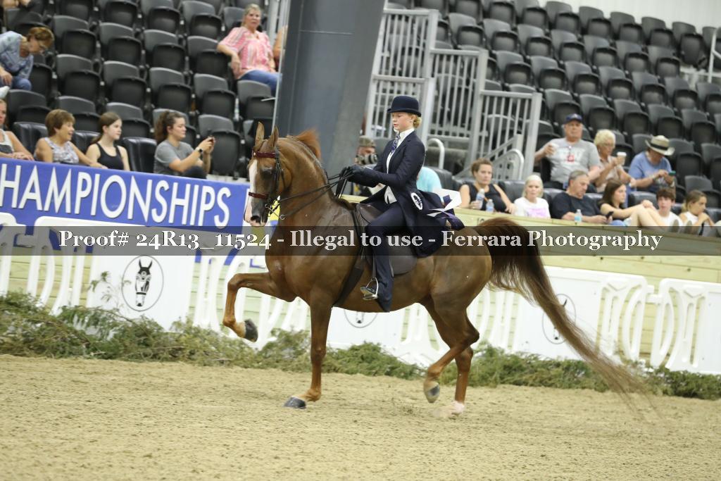 Proof 24R13_11524