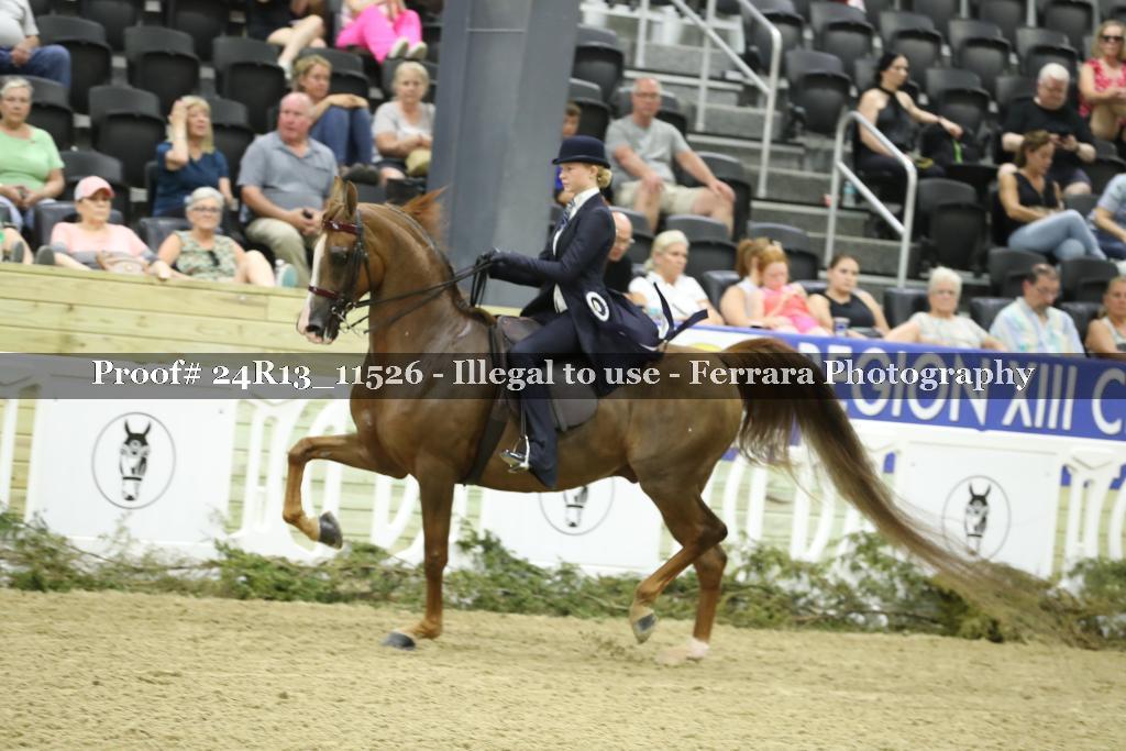 Proof 24R13_11526