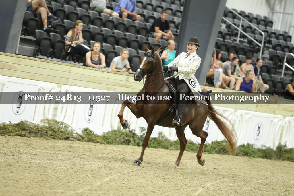 Proof 24R13_11527