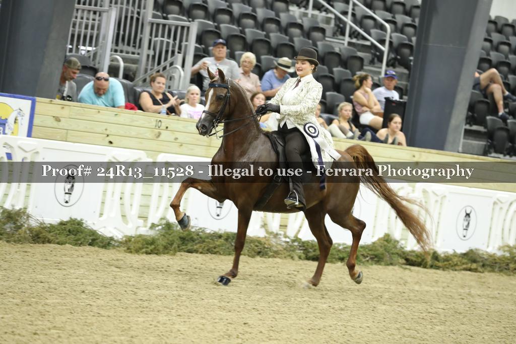 Proof 24R13_11528