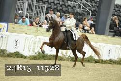 24R13_11528 proof