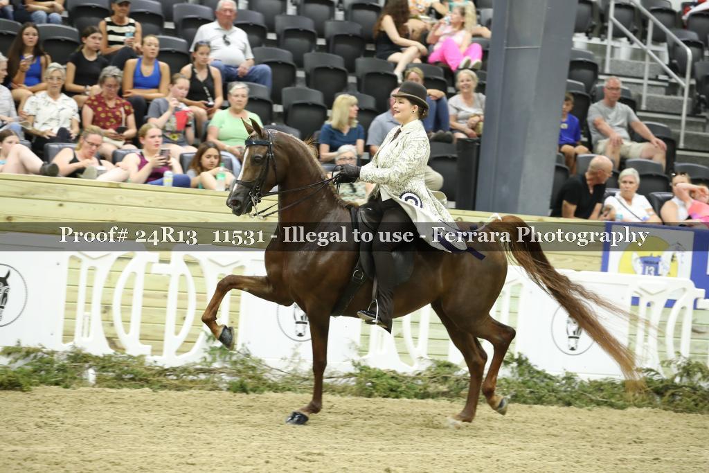 Proof 24R13_11531
