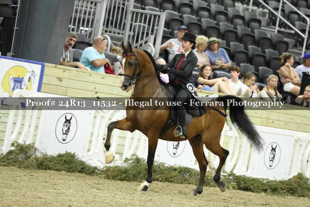 Proof 24R13_11532