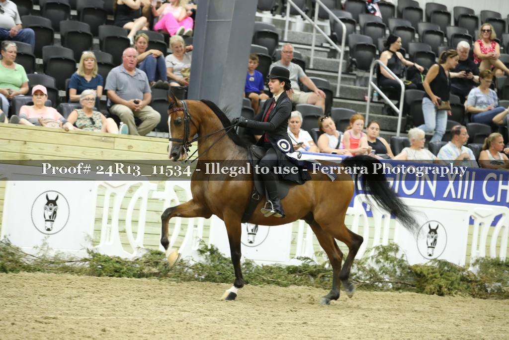 Proof 24R13_11534