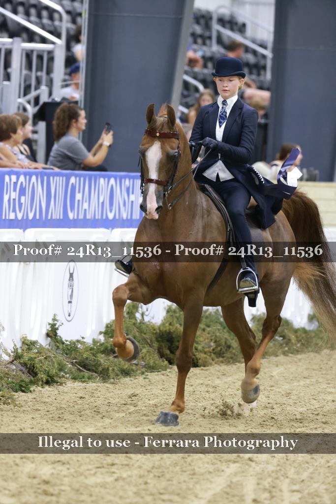 Proof 24R13_11536