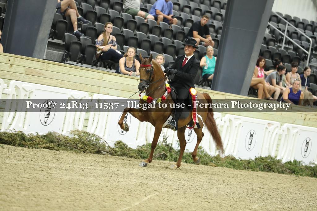 Proof 24R13_11537