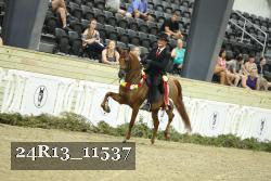 24R13_11537 proof