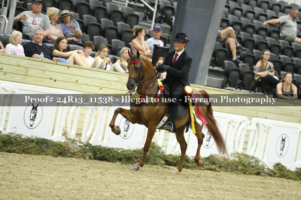 Proof 24R13_11538